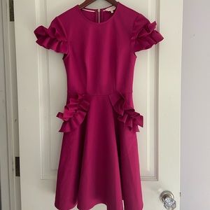 NWOT Ted Bakker Fuschia Dress